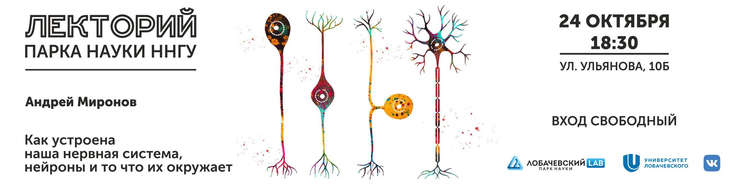 Подробнее о статье Лекция Андрея Миронова «Как устроена наша нервная система, нейроны и то что их окружает»