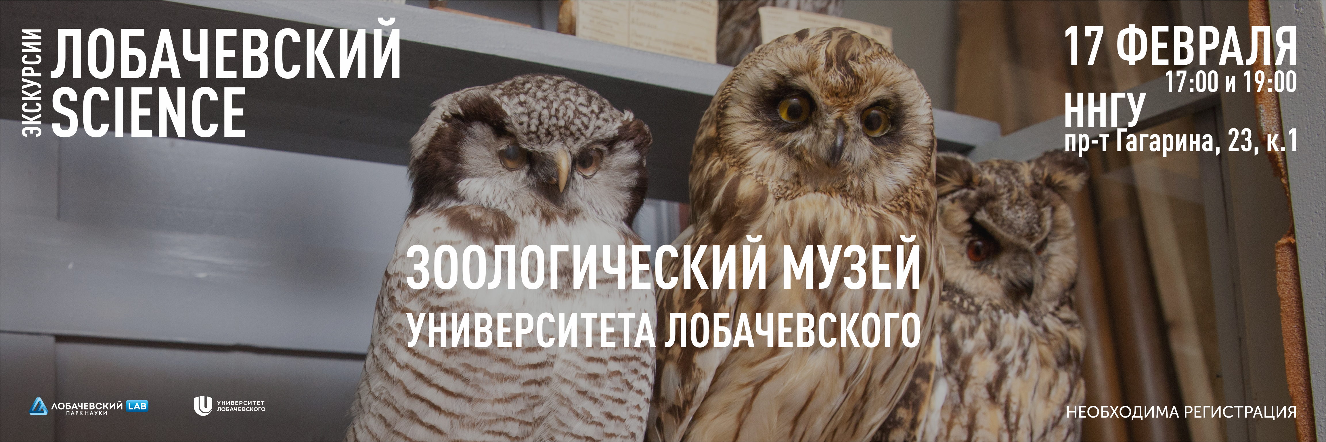 Подробнее о статье Экскурсия в Зоологический музей Университета Лобачевского