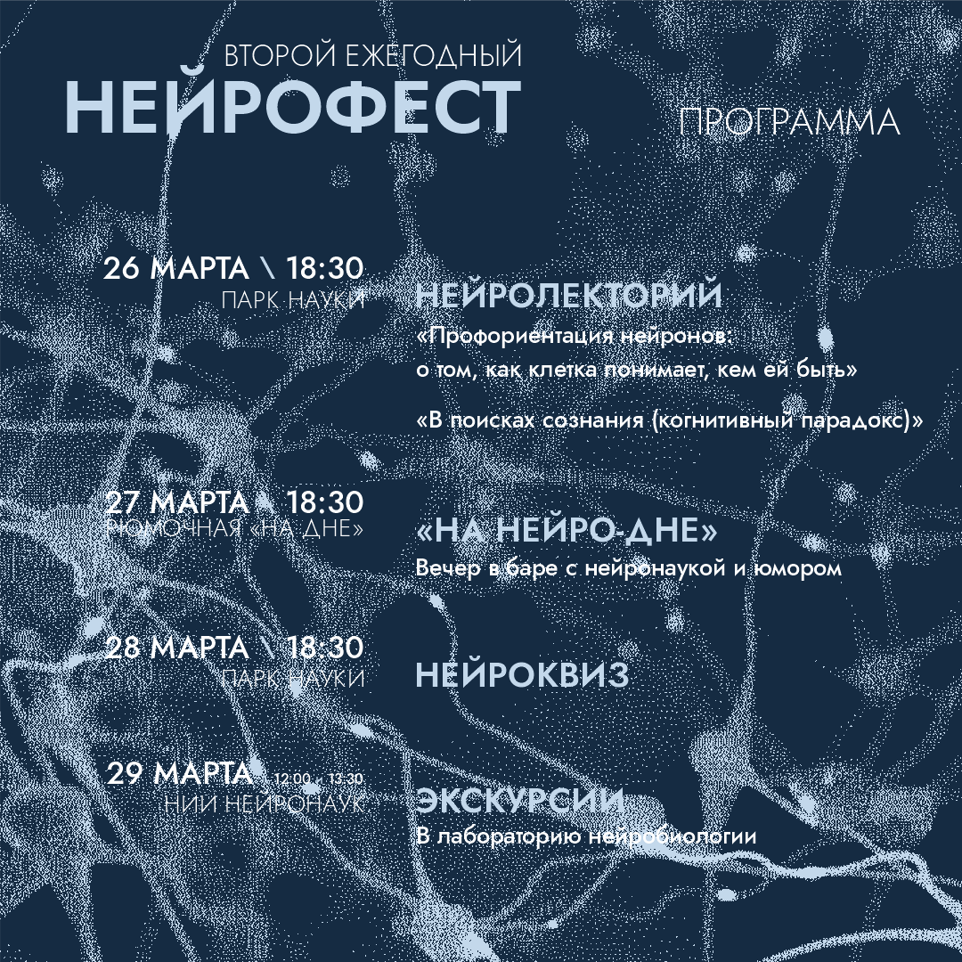 Второй ежегодный «Нейрофест»