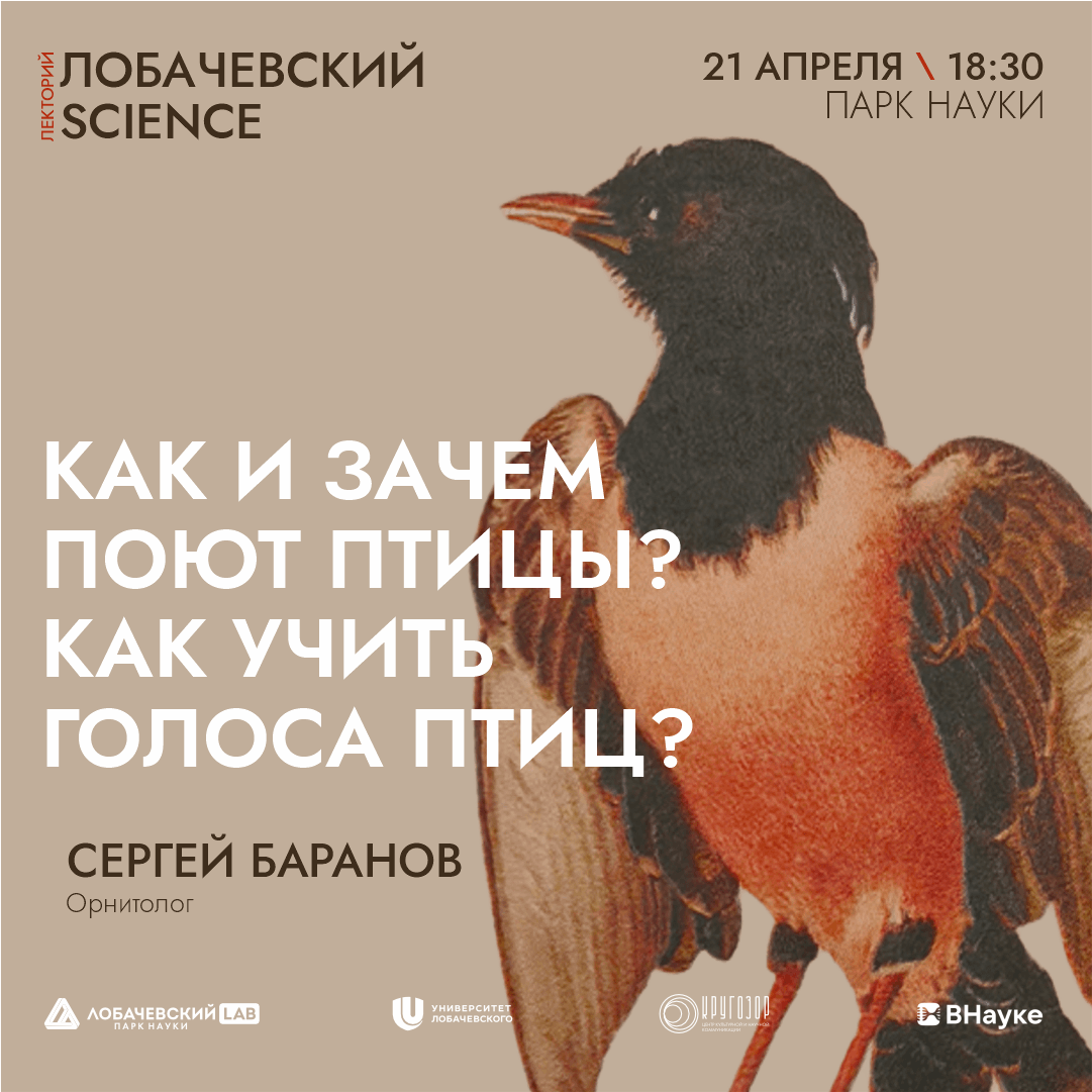 Подробнее о статье Лекция «Как и зачем поют птицы? Как учить голоса птиц?»
