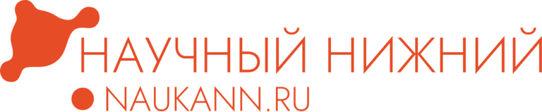 шапка 24 2025